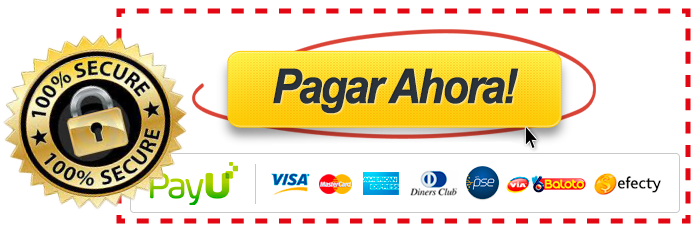 boton pagar